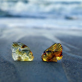 Fossil Amber Carved Fish Figurine