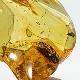 Natural Amber Wave Shape Stone With Insects