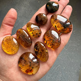 Fossil Amber Free Shape Cabochons