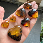 Fossil Amber Heart Shape Cabochons