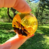 Natural Baltic Amber Sphere Ball Stone