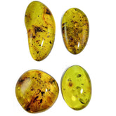 Green Amber Free Shape Cabochons With Insects