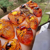 Cognac Amber Carved Spider Cabochons