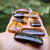 Fossil Amber Rectangular Free Shape Cabochons