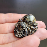 Milky Fossil Amber Carved Spider Cabochon