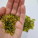Green Amber Nuggets Beads
