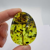 Green Amber Nugget Whit Insects Bead