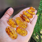 Cognac Amber Carved Bee On Honeycomb Cognac Cabochon