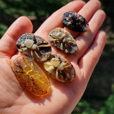 Milky & Fossil Amber Carved Spider Cabochons