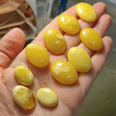 Milky Amber Free Shape Cabochons