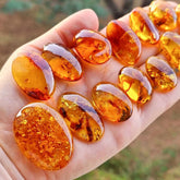Light Cognac Amber Free Shape Cabochons