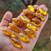 Light Cognac Amber Marquise Shape Cabochons
