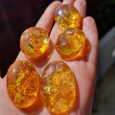 Lemon Amber Free Shape Cabochon