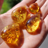 Lemon Amber Drop Shape Cabochons
