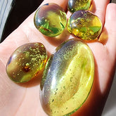 Green Amber Handmade Free Shape Cabochons