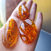 Cognac Amber Free Shape Cabochons