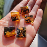 Fossil Amber Rectangular Free Shape Cabochons