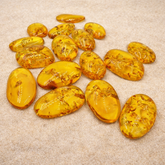 Lemon Amber Free Shape Cabochon