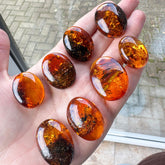 Cognac Amber Free Shape Cabochons