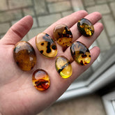 Fossil Amber Free Shape Cabochons