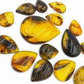 Fossil Amber Handmade Drop Cabochons