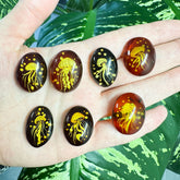 Cherry Amber Engraved Medusa Oval Shape Cabochons