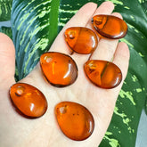 Cognac Amber Donut Free Shape Stone