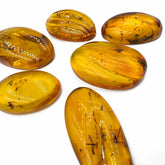 Free Shape Lemon Color Cabochon With Insects