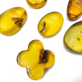 Lemon Amber Free Shape Cabochon With Insects