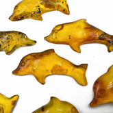 Fossil Amber Handmade Carved Dolphin Cabochons
