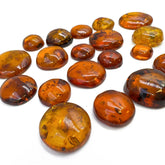 Cognac Amber Free Shape Round Cabochons
