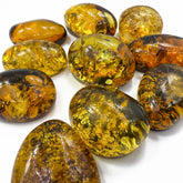 "Earth Stone" Green Amber Free Shape Cabochons