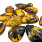 Fossil Amber Handmade Drop Cabochons