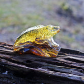 Fossil Amber Carved Lizard Figurine