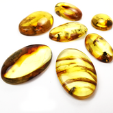 Natural Amber Free Shape Cabochons With Insects