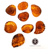 Cognac Amber Carved Ammonites Shell Cabochon