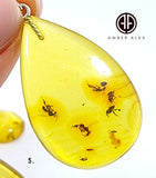 Natural Amber Drop Shape Pendant Sterling Silver With Insect