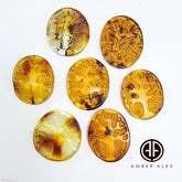 Cognac Amber Carved Tree Cabochons