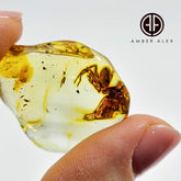 Natural Amber Wave Shape Stone With Spider