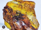 Natural Amber Slab Shape Stone With Insects
