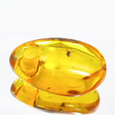 Cognac Amber Free Shape Stone With Insects
