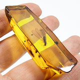 Natural Amber Rectangular Shape Stone With Insects