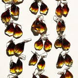 Gradient Amber Wave Dangle Earrings Sterling Silver