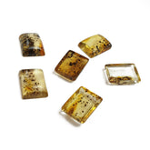 Fossil Amber Calibrated Rectangular Cabochons
