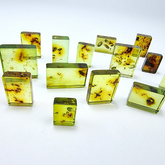 Green Amber Rectangular Shape Cabochons With Insects