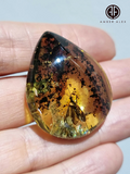 Fossil Amber Drop Shape Stone With Insects