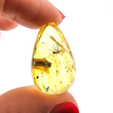Natural Amber Drop Shape Stone With Insects