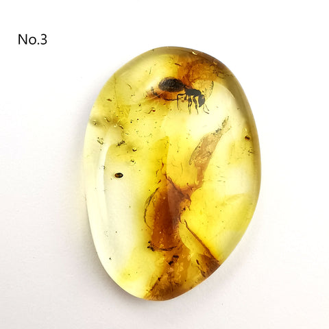 Natural Amber Free Shape Cabochons With Insects