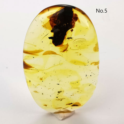 Natural Amber Free Shape Cabochons With Insects