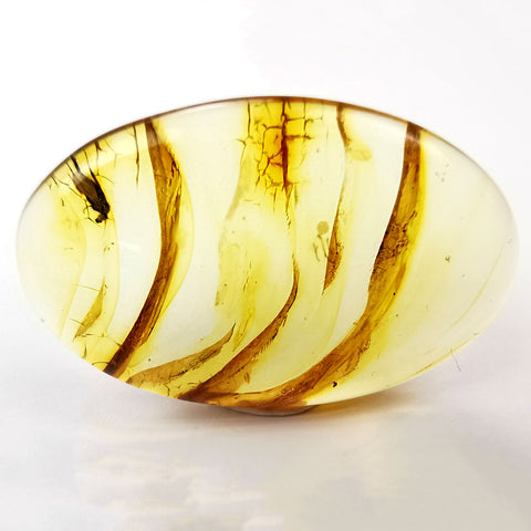 Natural Amber Free Shape Cabochons With Insects